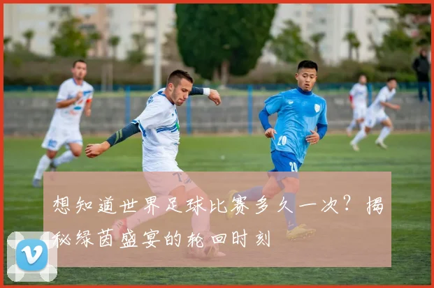 想知道世界足球比赛多久一次？揭秘绿茵盛宴的轮回时刻