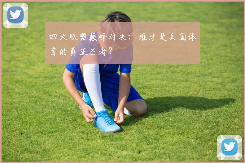 四大联盟巅峰对决:谁才是美国体育的真正王者?
