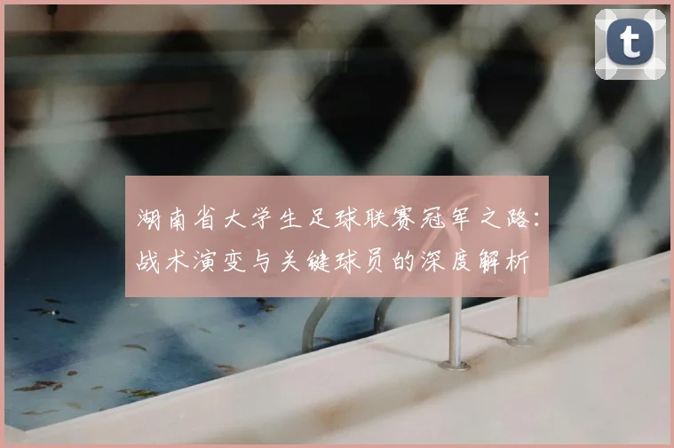 湖南省大学生足球联赛冠军之路：战术演变与关键球员的深度解析